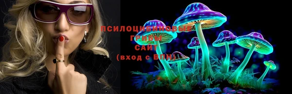 ГАЛЛЮЦИНОГЕННЫЕ ГРИБЫ Абдулино
