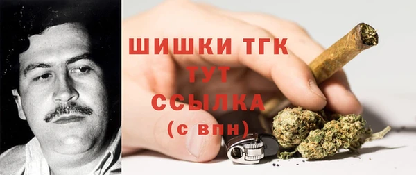 прущий лед Абаза