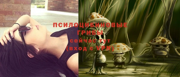 твердый Покачи