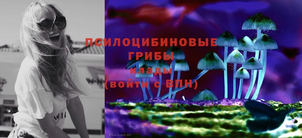 прущий лед Абаза