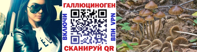 наркотики Новомичуринск Галлюциногенные грибы Magic Shrooms